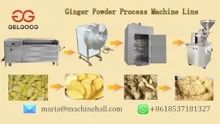 Ginger Powder Process Machine Line+8618537181327