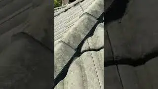 Roof Repairs Gold Coast - Phoenix Roof Restoration