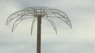 WIPP protects infrastructure with metal palm trees