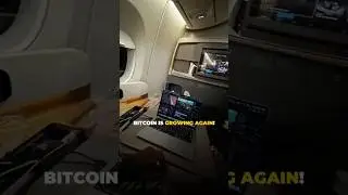 Will Bitcoin's Price CRASH?