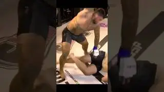 Спаркс против Сальгадо SSP67 #mma #ufc #тяжелый вес