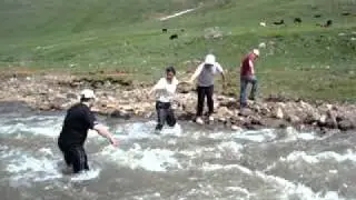 Gridzor 2010