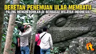 5 Penemuan Ular Membatu di Indonesia Bikin Geger Warga Sekitar