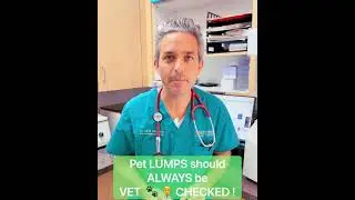 Pet Lumps Need A Vet Check !