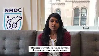 What Are Phthalates?
