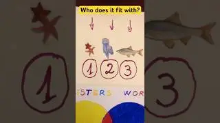 Fit the right fish,1,2 or 3 #color #icouldbered #viralshort #fish #bsw #bestsistersworld