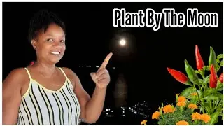 Your Gardens Will EXPLODE When You Plant By The MOON 🌙