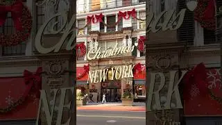 is this REALLY what NEW YORK CITY looks like right now!? 👀