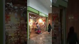 Inside The Oracle Mall Reading