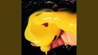 A Toast