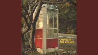 Color In The Leaves