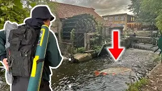 What Can I Catch Here? | Fishing in Wandle River