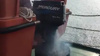 WB300 - Rescue Boat