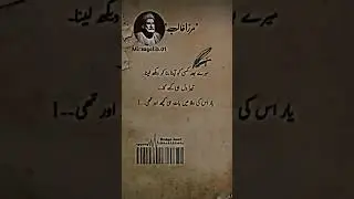 Mirza Ghalib sad poetry I poetry in urdu I heart broken poetry #mirzaghalib  #poetry #poetrystatus