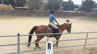 Riding Pippin