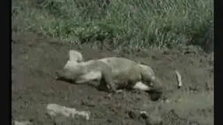 Mudderbad og Kropspleje