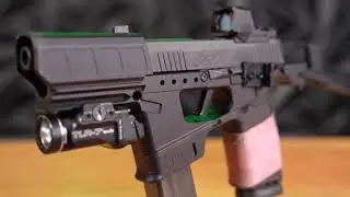 Flux Raider 365 w/ Night Fision OMS Stealth Iron Sights