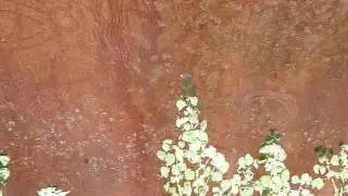 Walganna Rock