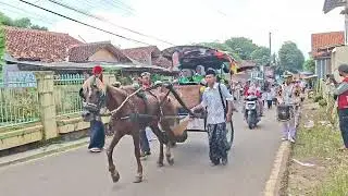 HEBOH! KIRAP WISUDA LEWAT TENGAH DRUMBAND, KUDA TERJATUH 😱 