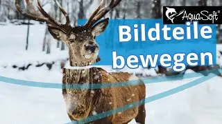 ANLEITUNG | Bildteile bewegen ✨🖼️