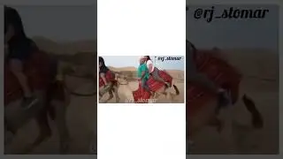 Camel Ruk Ja 😂 Funny Animals Dubbed Video #funny #voiceover #rjstomar