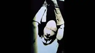 Macronympha - Untitled 1 & 2