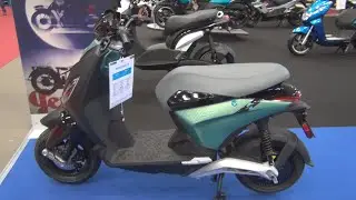 Piaggio 1 Forest Mix (2022) Exterior and Interior