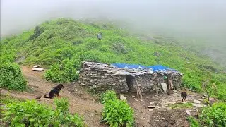 Water Mill in Nepali mountain village life During Video || Documentary Video || Stage Of Nepal 🇳🇵|| 