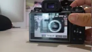 Canon EOS M5 One Shot AF Testing