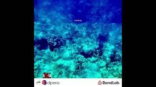 Pera - Bitter Sweet Decay