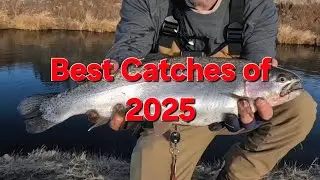 Some of the best Creek Freak Master Baits' catches of 2025