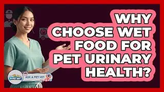 Why Choose Wet Food For Pet Urinary Health?