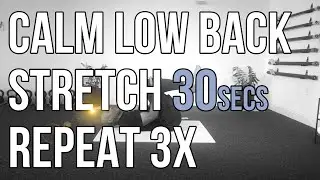 Calm Your Low Back | 5 Stretches | 30 Seconds | Repeat 3x
