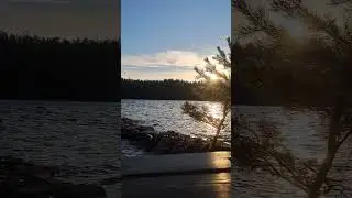 Nature sounds -moments in relaxing nature sounds | nature scenery -ELVEE LEE