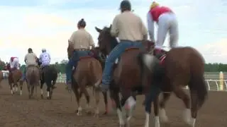 2011 $95K Black Gold Futurity Div 2