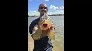 Carp fishing Prospect lake, Colorado Springs, LETS GOOOOO