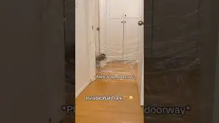 There is an INVISIBLE WALL prank on my dogs 😂