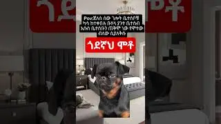 😂 ጎደኛህ ሞቶ #shorts #youtubeshorts #gospel #viralshorts #prayer #amharic
