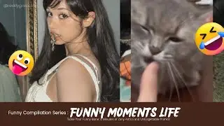Tickle Your Funny Bone: 6 Minutes of Zany Antics and Unforgettable