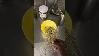 Komanw ka prepare te asosi/How to prepare Cerasee tea Like Haitian