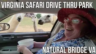 Virginia Safari Park Drive-Thru Adventure Natural Bridge 2021