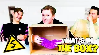 Siko What's In The Box Challenge? ft. Gerlaenco, Maximus & Cowjow