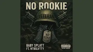 No rookie (feat. Ntb Slvtty)