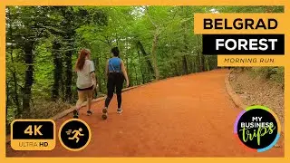 Morning Run in Belgrad Forest (Belgrad Ormanı) İstanbul | 4K | 2022