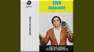 Zivino lakovano kolo