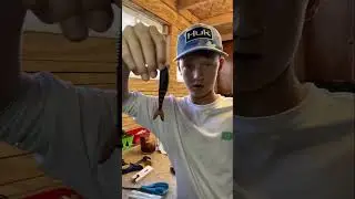 How To Recycle Your Old Soft Plastics Lures
