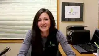 Eco Friendly Cleaning Service   Clean N Green Kenosha