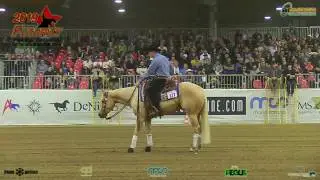 Futurity 2019 - MASSIMILIANO RUGGERI & TINSELMARTIN score 216
