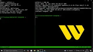 XST (Cross-Site Tracing) Vulnerability on Western Union Website - PoC