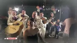 el mono de Alambre